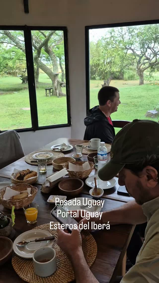 Mientras desayunamos, disfrutamos de una pareja de Cardenal amarillo.
#Posadauguay##portaluguay #esterosdelibera #cardenalamarillo #safarisfotograficos